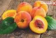 At what age can peaches be introduced into a child’s diet? How to choose good peaches