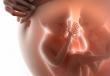 Multipelgraviditet: tecken och komplikationer Egenskaper vid behandling av gravida kvinnor med multipelgraviditet
